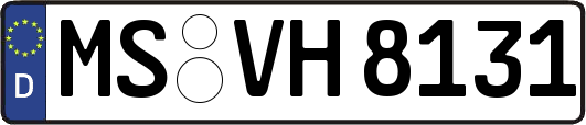 MS-VH8131