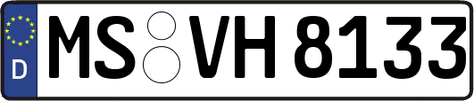 MS-VH8133