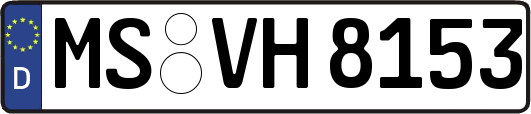 MS-VH8153