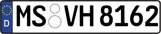 MS-VH8162