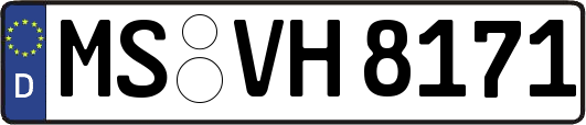 MS-VH8171