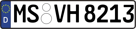 MS-VH8213