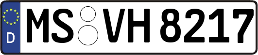 MS-VH8217