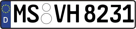 MS-VH8231