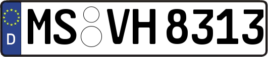 MS-VH8313