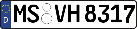 MS-VH8317