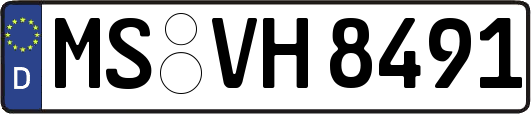 MS-VH8491