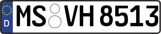 MS-VH8513