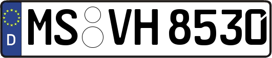 MS-VH8530