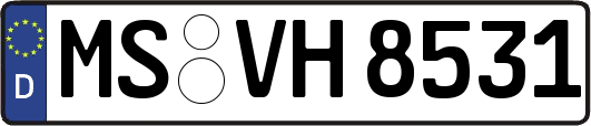 MS-VH8531