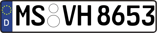 MS-VH8653