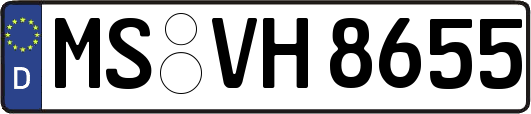 MS-VH8655