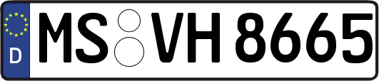 MS-VH8665