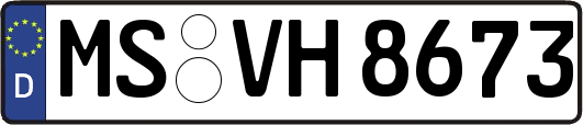 MS-VH8673