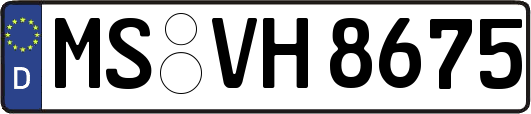 MS-VH8675
