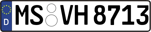 MS-VH8713
