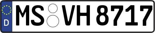 MS-VH8717