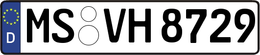 MS-VH8729