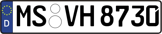 MS-VH8730