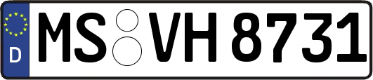 MS-VH8731