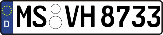 MS-VH8733