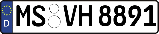 MS-VH8891