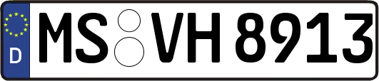 MS-VH8913