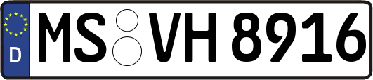 MS-VH8916
