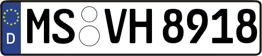 MS-VH8918