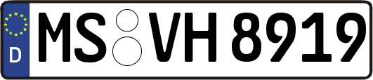 MS-VH8919