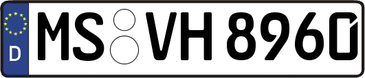 MS-VH8960