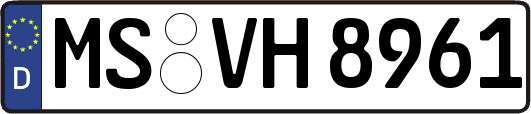 MS-VH8961