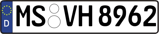 MS-VH8962