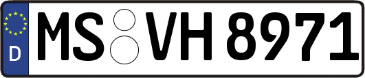 MS-VH8971