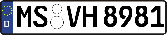 MS-VH8981