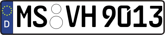 MS-VH9013