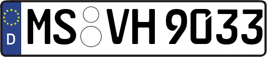 MS-VH9033