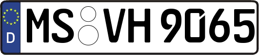 MS-VH9065