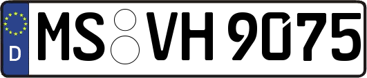 MS-VH9075