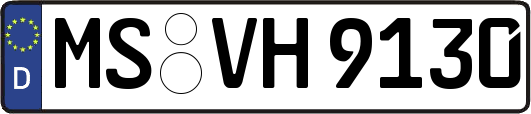MS-VH9130