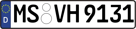 MS-VH9131