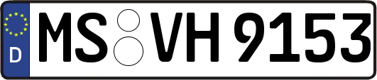 MS-VH9153