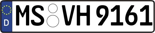 MS-VH9161