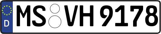 MS-VH9178