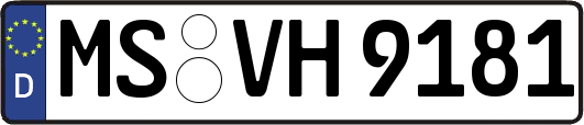 MS-VH9181