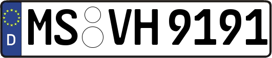 MS-VH9191