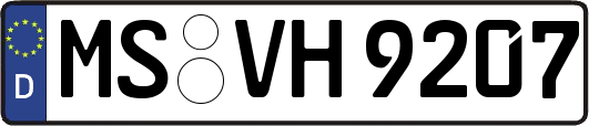 MS-VH9207