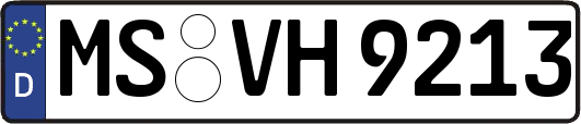 MS-VH9213