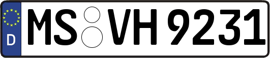 MS-VH9231