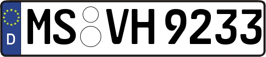 MS-VH9233